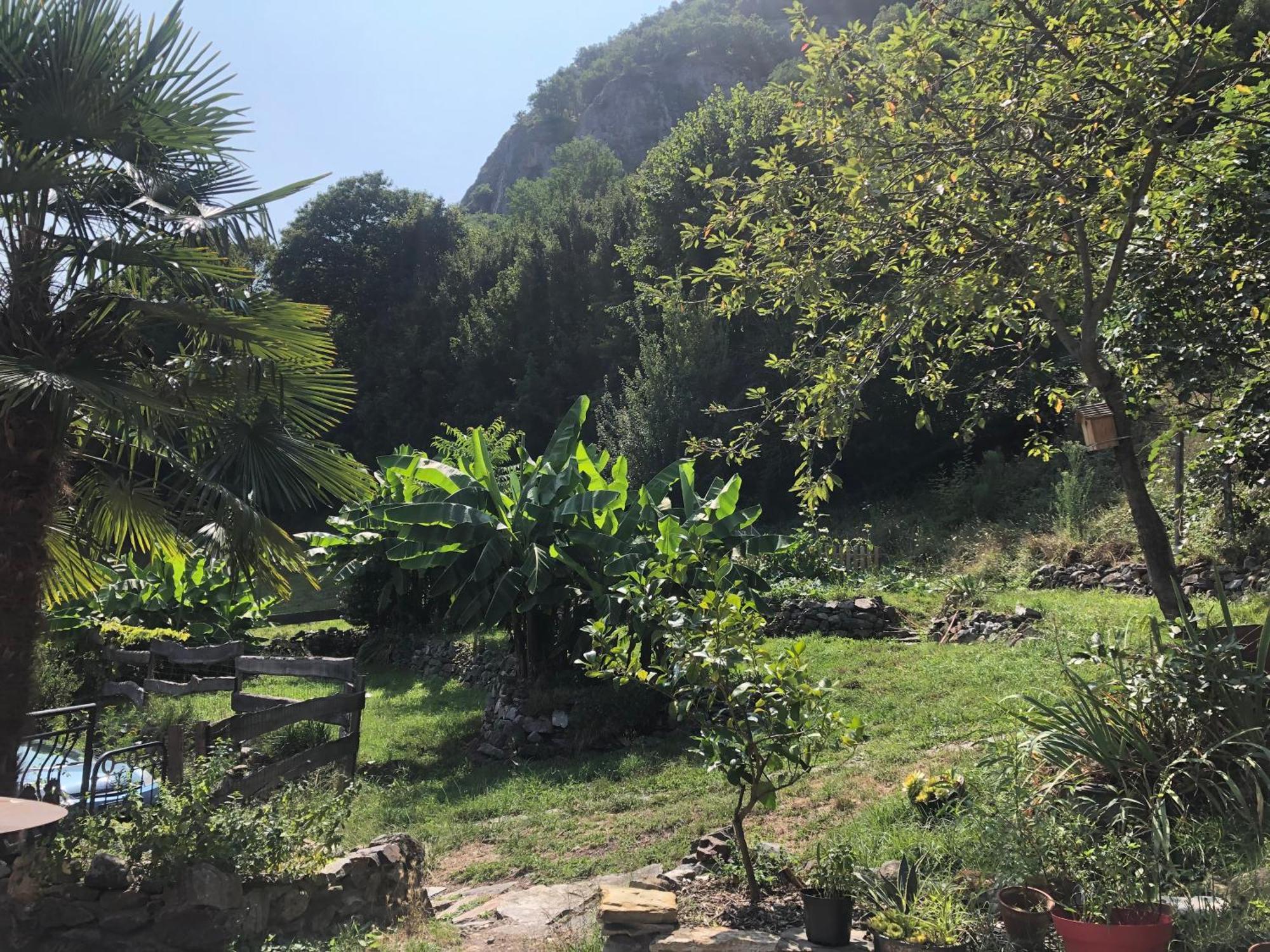 La Auarje: Appartement Avec Jardin & Terrasse Cierp Bagian luar foto