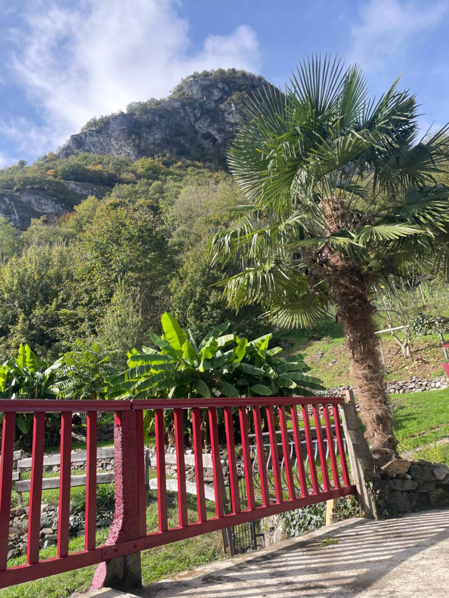La Auarje: Appartement Avec Jardin & Terrasse Cierp Bagian luar foto